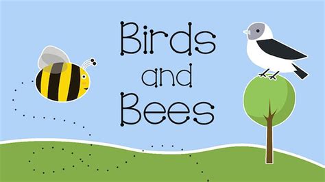 Birds And Bees Lessons Series Download Youth Ministry Free Nude Porn