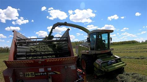 Chopping 1st Cutting Alfalfa With Claus 820 Youtube