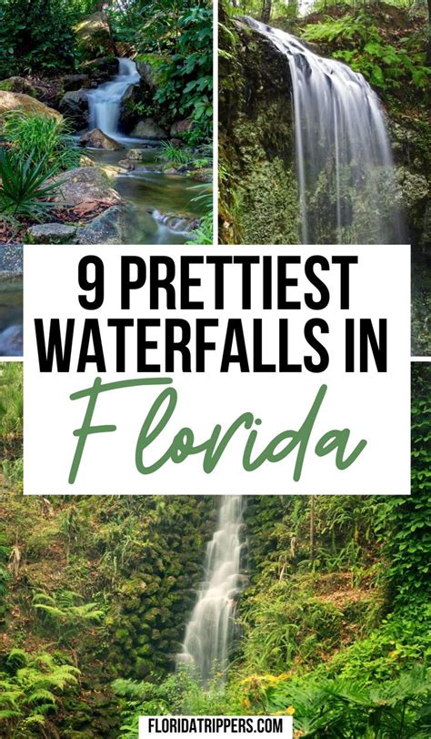 9 Prettiest Waterfalls In Florida Waterfall Florida Florida Vacation
