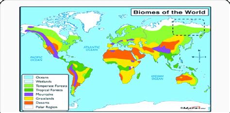 Biomes Around The World Map Map