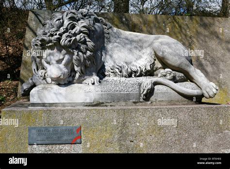 Lion Sculpture In Kassel Germany Stock Photo Alamy