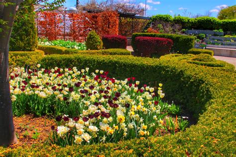 Toronto Ontario ~ Canada ~ Edwards Gardens ~ Botanical Gar Flickr