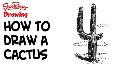 How To Draw A Desert Cactus Youtube
