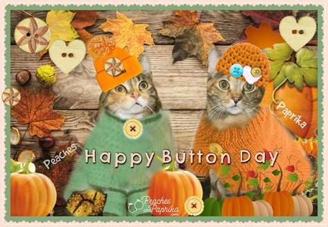 Peaches And Paprika Happy National Button Day
