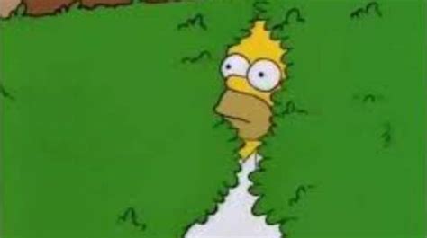 Homer Simpson Uses His Infamous Bush  In Latest Episode Of The