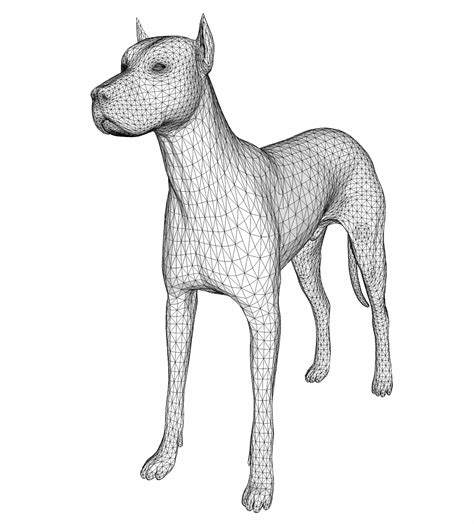 Dog 3d Drawing Free Stock Photo Public Domain Pictures