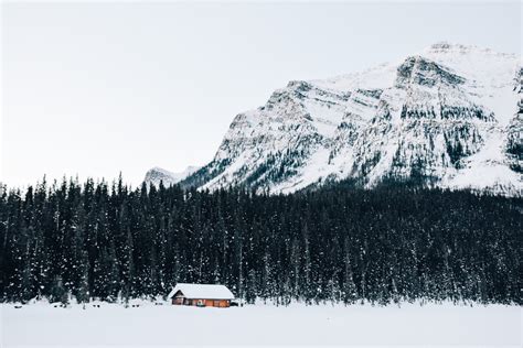 Free Images Tree Forest Snow Winter Mountain Range Cabin