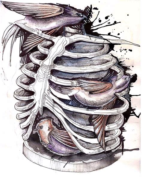Rib cage in anderen sprachen: Rib Cage on Behance
