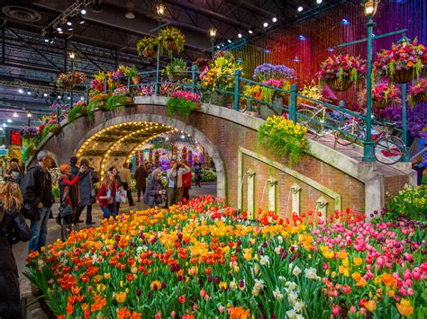 Download some pictures of flowers apk 6.5 for android. The PHS Philadelphia Flower Show — Visit Philadelphia