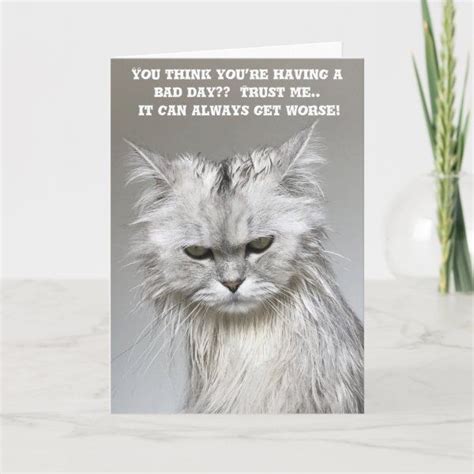 Funny Get Well Soon Card Zazzle Get Well Soon Funny Get Well Cards