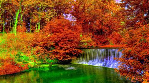 Waterfalls Between Orange Maple Trees Fall Forest Hd Wallpaper