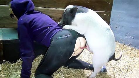 Pet Pig Is So Petite But Its Xxx Cock Is Always Ready To Fuck Owner