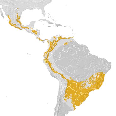 Tropical Parula Range Map Pre Breeding Migration Ebird Status And