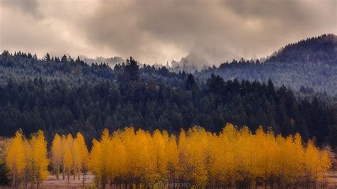 Fall In The Pacific Northwest Lorane Oregon Hd Wallpaper