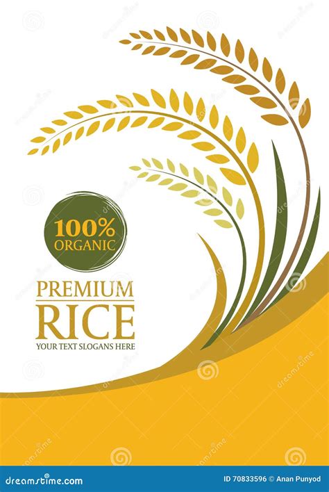 Rice For Template Farmer Market Design Label And Packing Natural