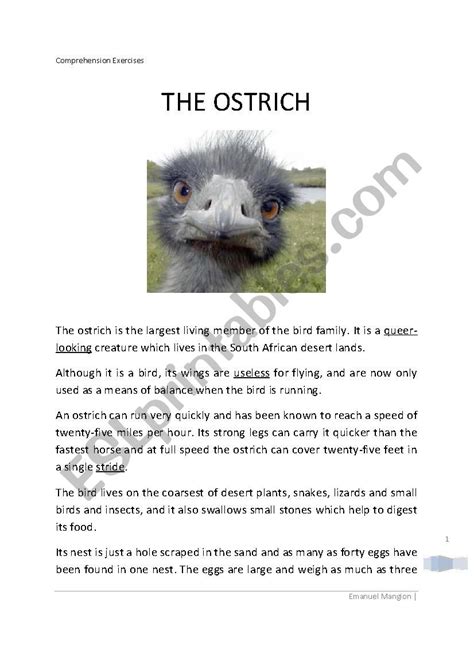 The Ostrich Esl Worksheet By Gomu