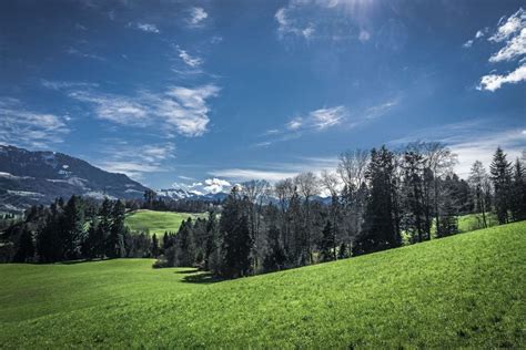 The Best Things To Experience In Switzerland In Spring Scenic Train