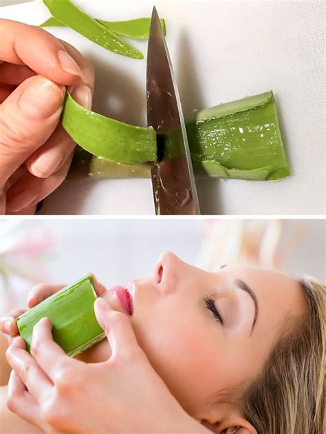 Uses Of Aloe Vera You Need To Know