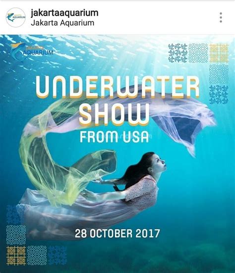 Underwater Show From Usa Kids And Parents Events Liburan Anak