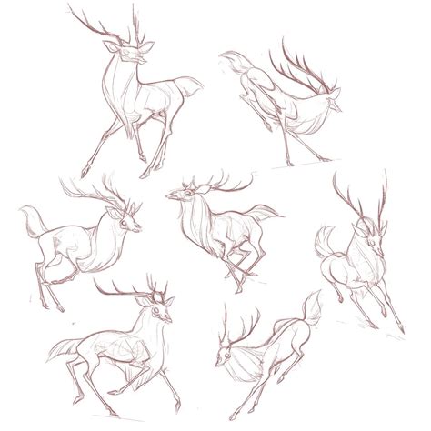 Bunch Of Deer Sketches From Photo Ref Animal Drawings Sketches