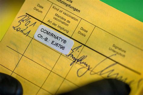 Bis der grüne pass in österreich eingesetzt werden kann, dürfen ab 19. Grüner Pass Österreich : Gruner Pass Abgespeckte Umsetzung ...