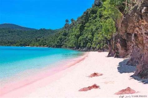 Pink Beaches In The Philippines That Deserve Your Visit