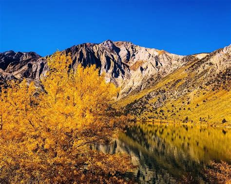 The Sierra Nevada Resort And Spa Features Fall Foliage At Its Finest With