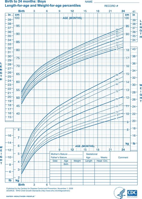 Fetal Growth Chart By Month
