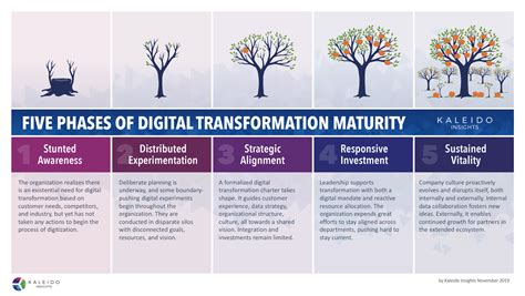 Phases Of Digital Transformation Maturity From Stunted Awareness To
