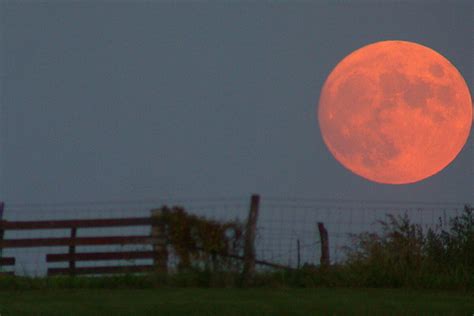 Beautiful picture of full moon. Most Beautiful Full Moons Is Harvest Moon - Netloid™
