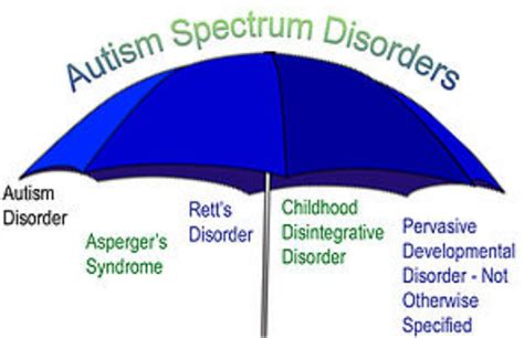 Autism Spectrum Disorder Causes