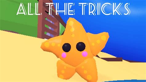 All The Tricks Of Starfish Pet 🌟 Roblox Adopt Me Youtube
