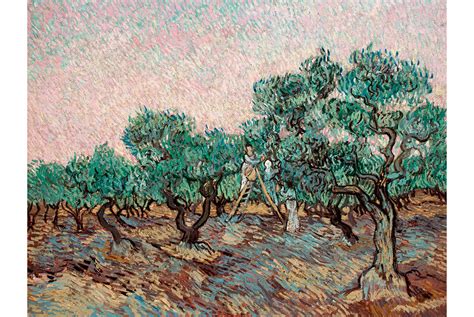Van Goghs Olive Trees Art Is Alive