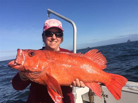 Southern Oregon And Brookings Fishing Report