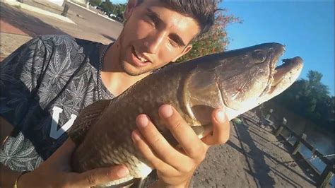 Pesca De Pati Tarariras Y Boga Youtube