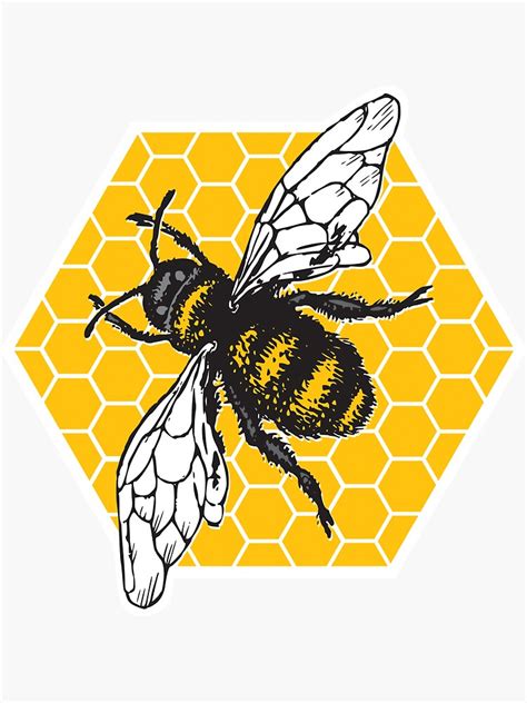 Honeybee Honeycomb Sticker For Sale By Krefdesign Redbubble