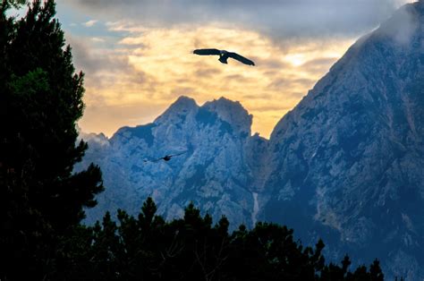 Birds Flying In The Mountains And The Sky Free Download Photoac