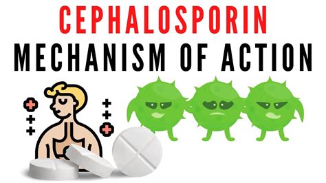 Cephalosporin Explained Classification Mechanism Of Action Youtube