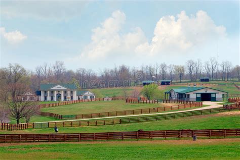 Kentucky Horse Ranch Stock Image Image Of Farm