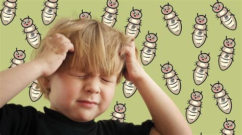 Head Lice Daycare Policy Why You Need One