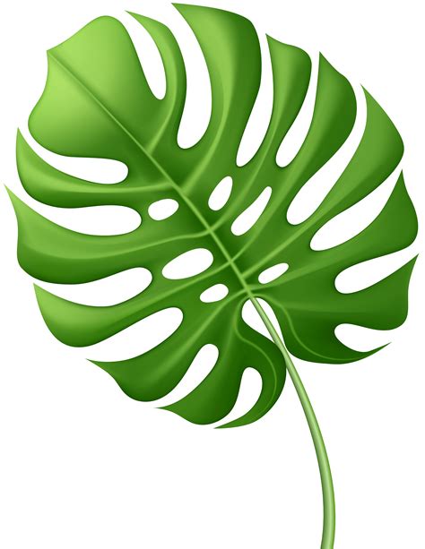 Large Tropical Leaf PNG Clip Art Image | Gallery Yopriceville - High-Quality Images and ...