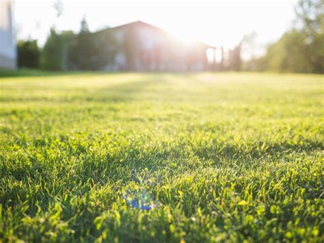 Spring Lawn Care Tips Learn How To Care For Spring Lawns