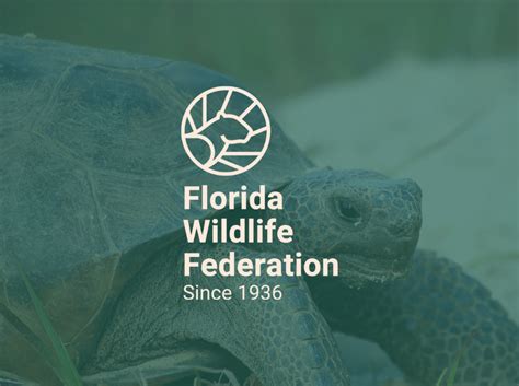 Gopher Tortoise Signs Florida Wildlife Federation