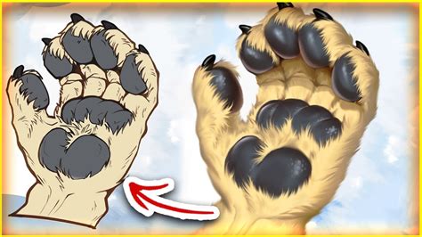 Speedpaint🐾 Paw Process 🐺 Furry Reference Sheet Pt Something Youtube