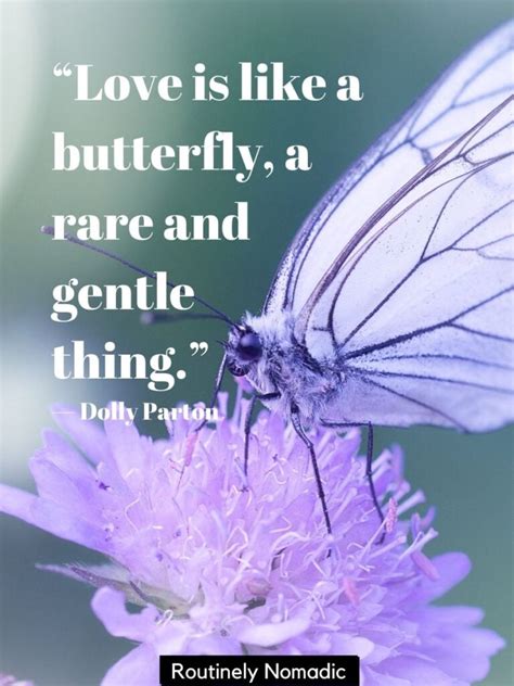 Butterfly Quotes Perfect Butterfly Sayings For Routinely Nomadic