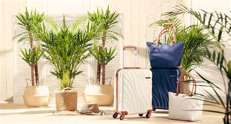 Sally Beauty | UK Professional Hair & Beauty Products ...