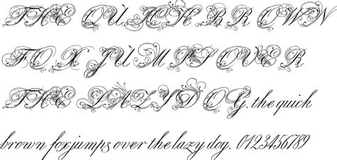 Alphabet Royal Calligraphy Fonts
