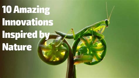 10 Amazing Innovations Inspired By Nature Youtube