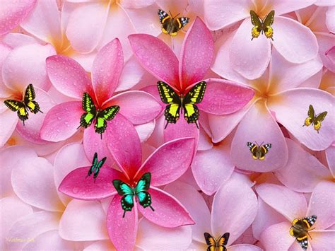 46 Cute Pink Wallpapers For Girls Wallpapersafari