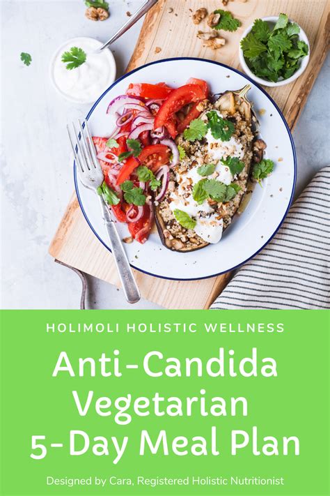 Pin On Vegetarian Candida Diet Recipes